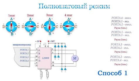 Разнообразие типов сопротивления: разбор основных вариантов