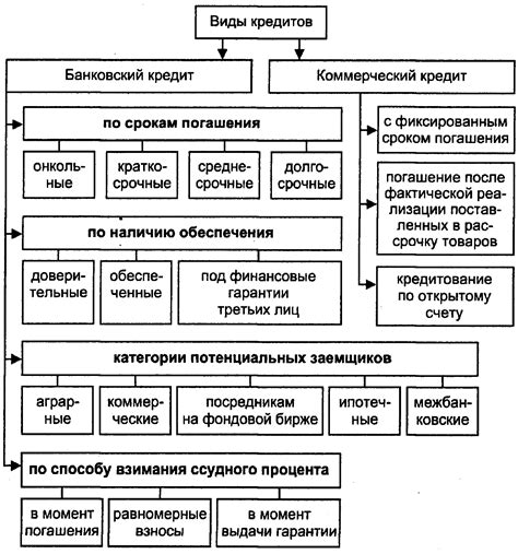 Разнообразные виды денежных обязательств: сумма, заем, возможности