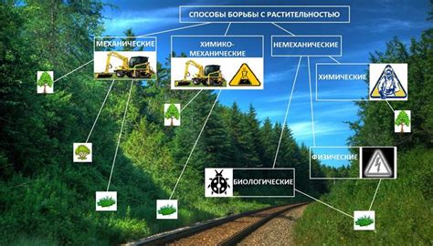 Разнообразные подходы к эффективной эпиляции для борьбы с нежелательной растительностью