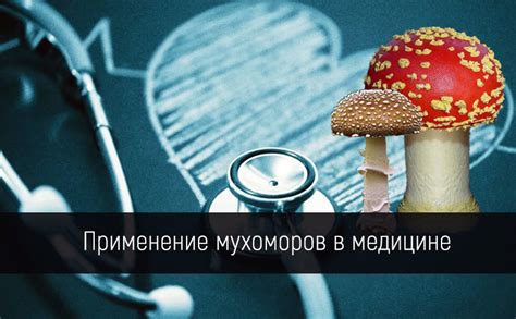 Разностороннее применение мухоморов в традиционной медицине и косметологии