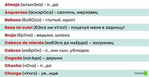 Разные варианты выражения благодарности на испанском и их контекстное использование