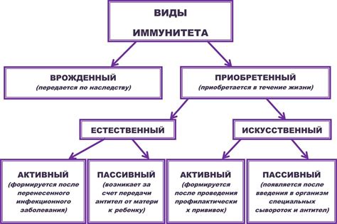 Разные типы иммунитета и их роль в защите организма