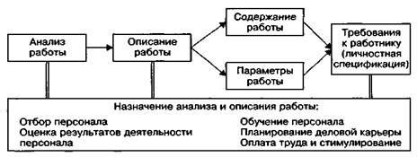 Разработка требований к кандидатам и проведение собеседований