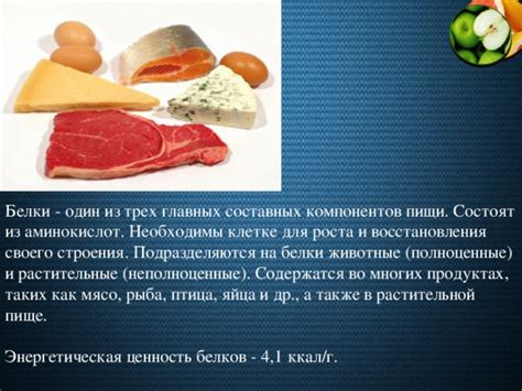 Разрушение заблуждений о недостатке необходимых компонентов в растительной пище