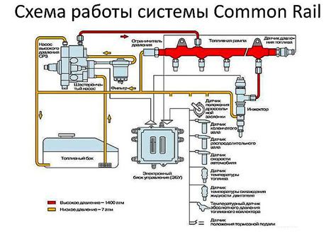 Ранжирование автомобиля среди владельцев и специалистов