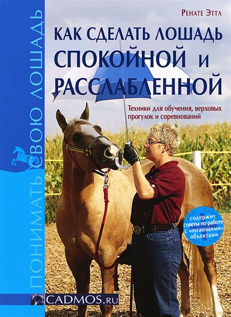 Ранчо "Скорый Галоп": эксклюзивные предложения для продвинутых верховых спортсменов