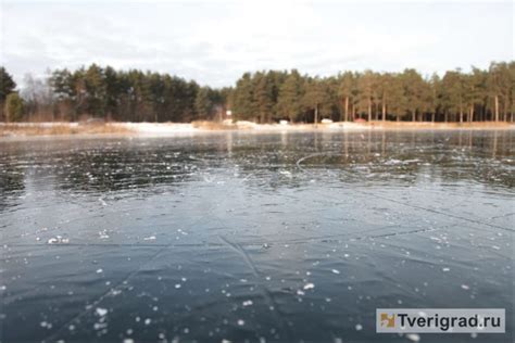 Раскинувшиеся на просторах Тверской земли водоемы: неповторимое место для увлекательной рыбалки