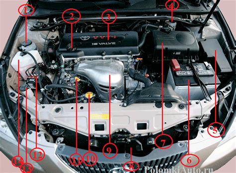 Расположение защитного элемента в автомобиле Toyota Camry 55 под капотом