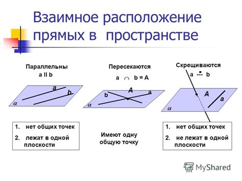 Расположение и особенности каждой из локаций