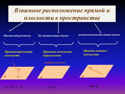 Расположение точек в наборе на плоскости: особенности и взаимное расположение