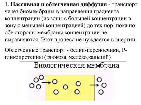 Распределение бериллия в органах и тканях