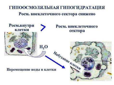 Распределение воды в устройстве подобном ласточке