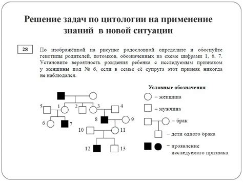 Распределение молодого питомца на родословную