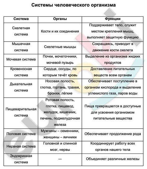 Распределение протеинов в системе организма