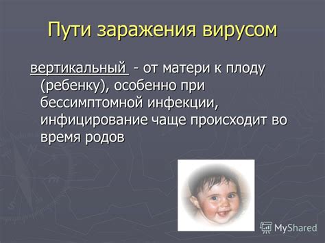 Распространение и пути заражения вирусом от шашлыкового корешка в рыбах