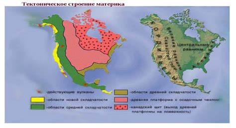 Распространение кедра в северной части Америки