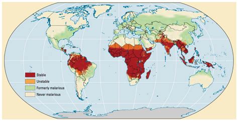 Распространение малярийного плазмодия на территории Африки