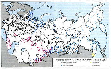 Распространение можжевельника в Северо-Западном регионе России