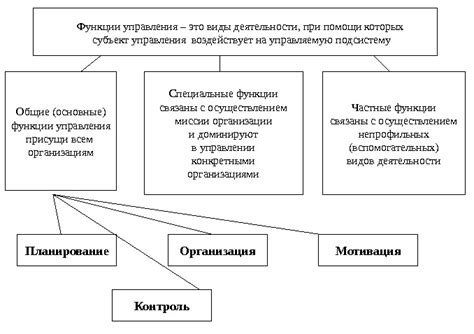 Расстановка стоп и важность их функции в движении