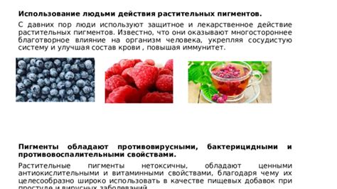 Растительные настойки и их благотворное воздействие на организм человека