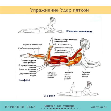 Растяжка и укрепление групп мышц: эффективные приемы для устранения дискомфорта