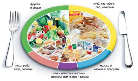 Рацион и режим питания: рекомендации ученых для детей, страдающих от аденоидов