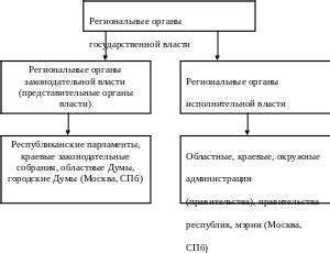 Региональные органы налогового управления: структура и функции