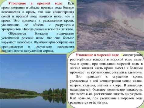 Регионы с огромным доступом к пресной воде: где расположены и что можно сделать в этой ситуации?