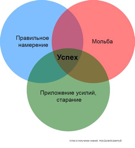 Регионы-лидеры в производстве кукурузы и сорго: факторы успеха