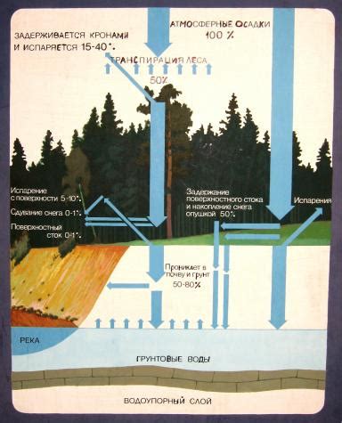 Регулирование баланса воды и минералов