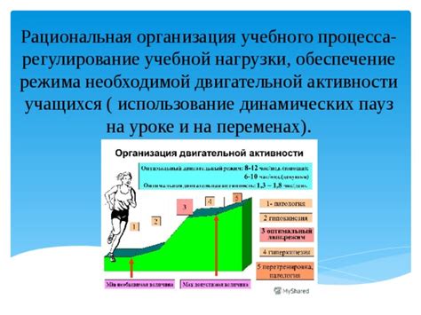 Регулирование двигательной активности