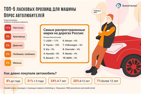 Регулирование ответственности иностранных автомобилей: законодательная точка зрения