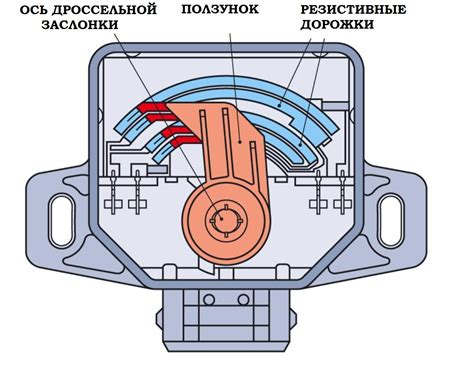 Регулировка работы дроссельной заслонки: подробная настройка для оптимального функционирования триммера Штиль