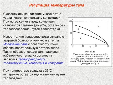 Регуляция температуры и обмен воздуха