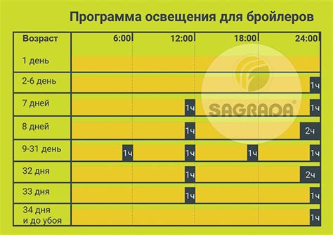 Режим освещения и важность светового дня