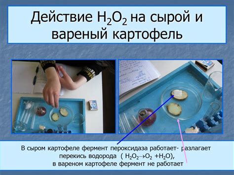 Результаты исследований: положительные эффекты и потенциальные риски увлажнителей с перекисью водорода