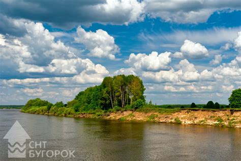 Река Ока: тайное укрытие для успешной рыбалки