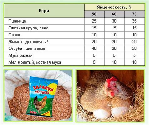 Рекомендации по включению жмыха в рацион кур