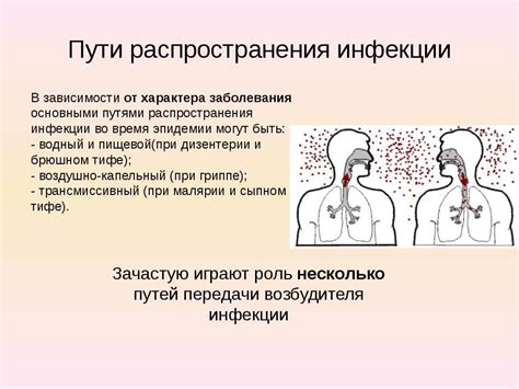 Рекомендации по определению подходящего препарата в зависимости от характера и проявлений инфекции в ушной области