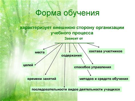 Рекомендации по организации учебного процесса для школьников, страдающих от эпилепсии