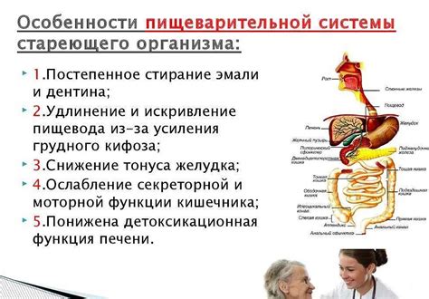 Рекомендации по правильному приему препарата на основе оротовой кислоты с магнием