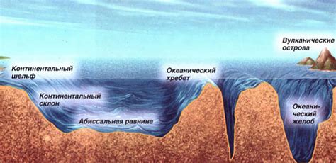 Рельеф дна и общая площадь озера: изучение глубины и размеров данной природной формации