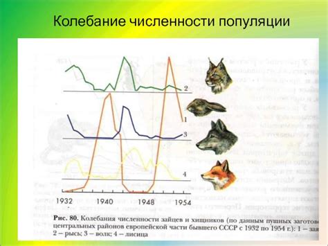 Решение задачи прогнозирования изменений численности популяции