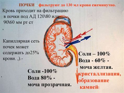 Риск возникновения проблем со здоровьем