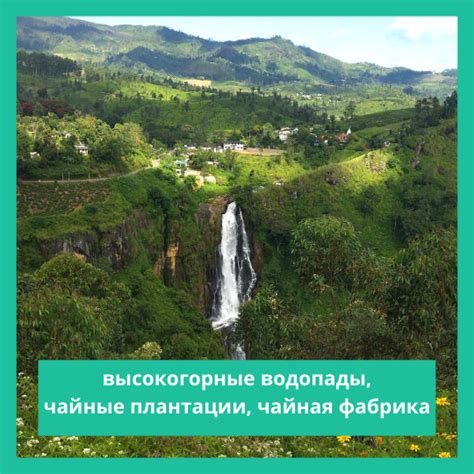 Розовые поля, чайные плантации и водопады Нувара Элия: картина сказочной природы