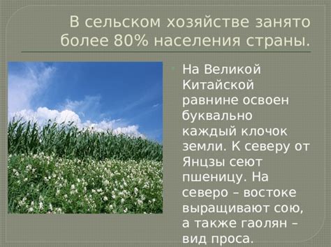 Роль Великой китайской равнины в сельском хозяйстве и промышленности Китая