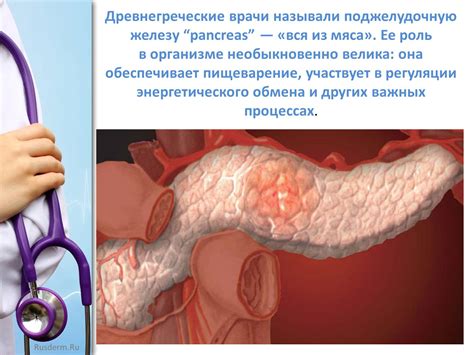 Роль ФГДС в выявлении и терапии заболеваний пищеварительной системы