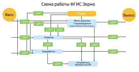 Роль ФГИС Зерно в бухгалтерии: принципы и важность