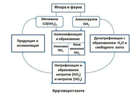 Роль азота в крови и доставке кислорода