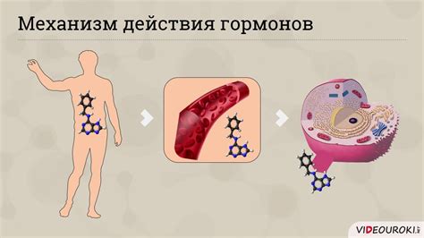 Роль азота в синтезе гормонов и катализе ферментативных реакций